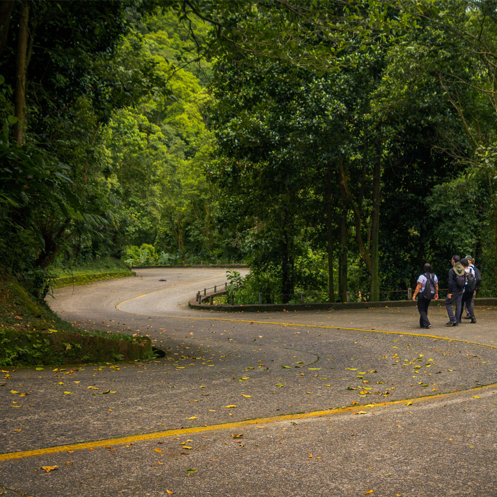 estrada velha de santos sp