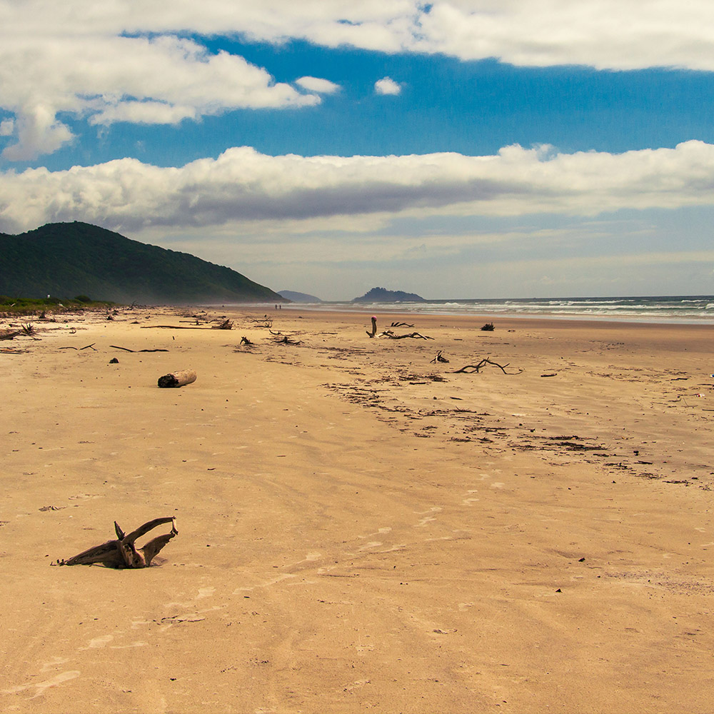 ilha do cardoso 3