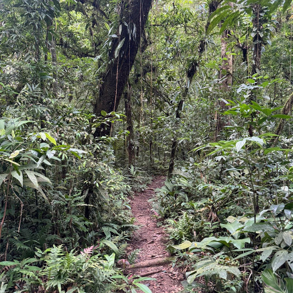 Guaratuba 05