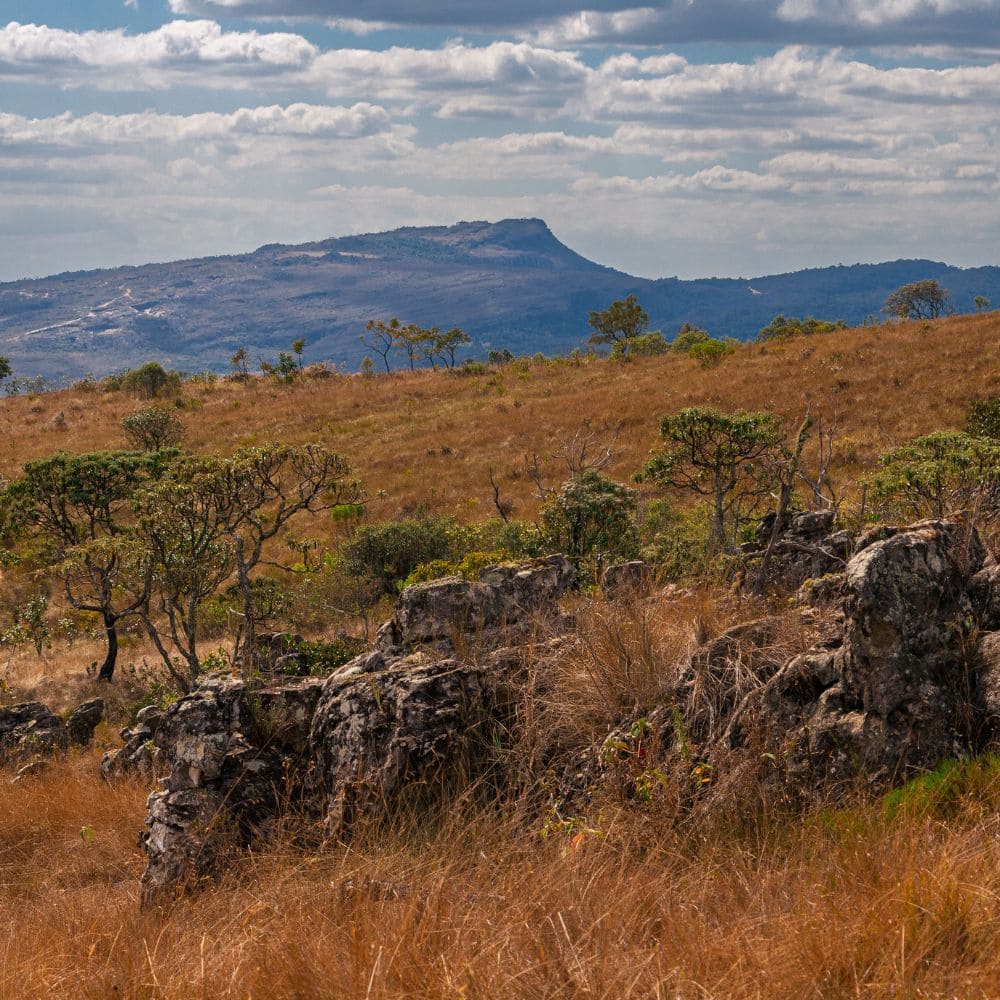 TRAVESSIA PICO DO GAVIÃO X SÃO THOMÉ 3